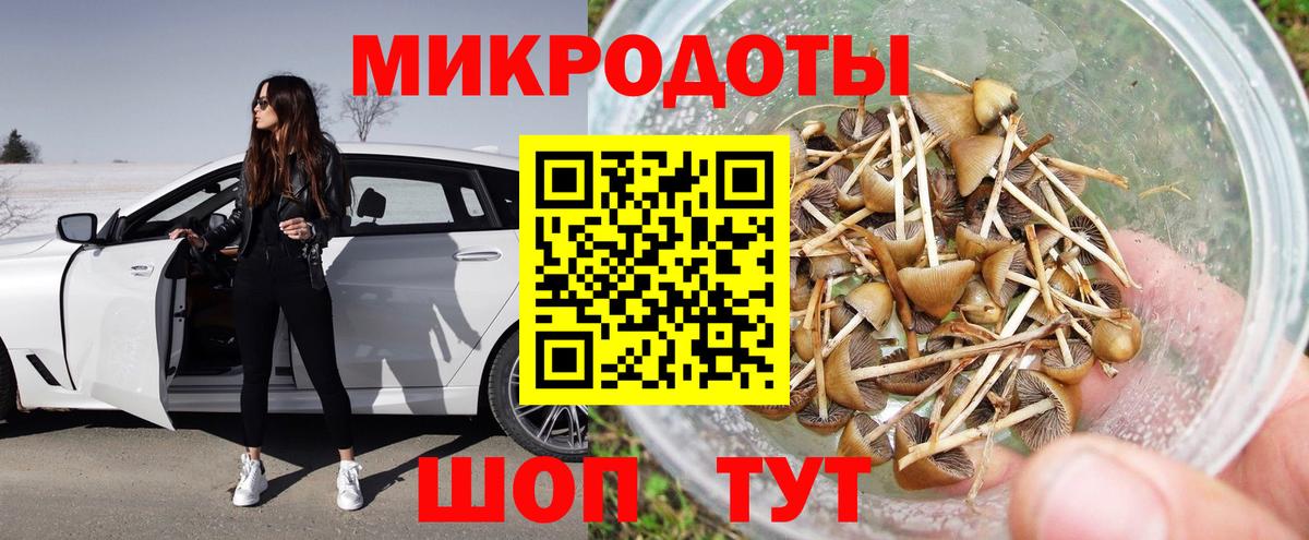 Галлюциногенные грибы Cubensis  Вход с VPN  Зеленодольск 