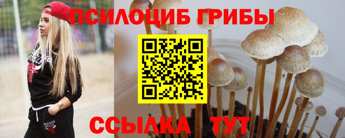 Псилоцибиновые грибы ЛСД Зеленодольск